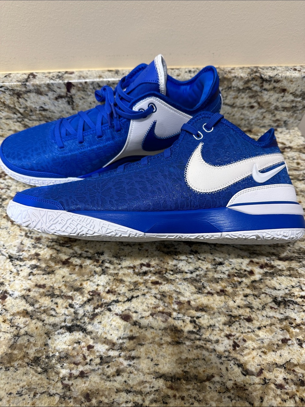 NIKE ZOOM LEBRON NXXT GEN